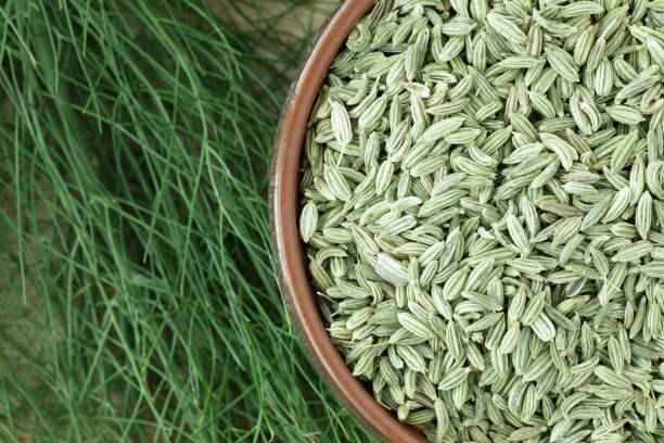 Fennel Seeds with Fennel Plant Flat lay of fennel seeds in bowl with fennel greens How To Grow Dill Herb From Seeds In Garden Nutrition Benefits And Best Uses stock pictures, royalty-free photos & images