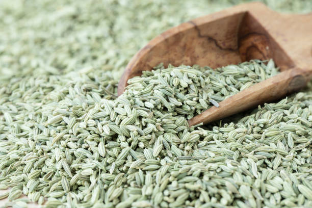 istock Scoop of Fennel Seeds 1170575928
