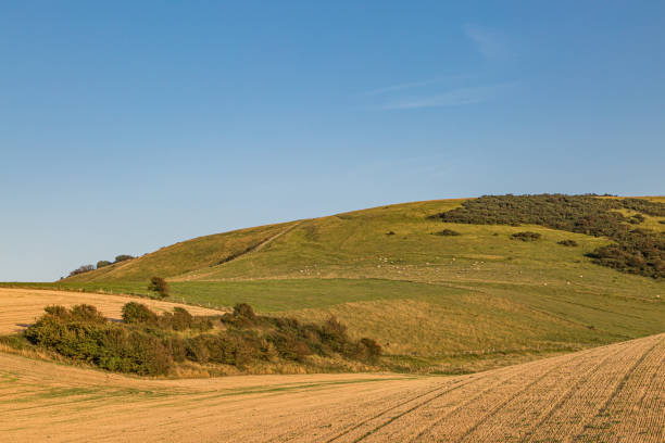 istock A Summers Evening in the South Downs 1170578041