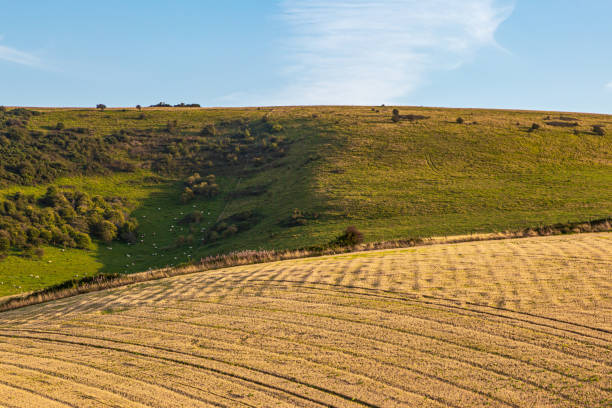 istock A Summers Evening in the South Downs 1170578283