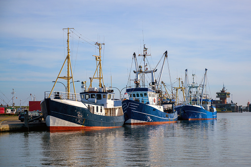 Three blue fishing boats at the quay in the port of Buesum on the North Sea in Germany against the blue sky, copy space