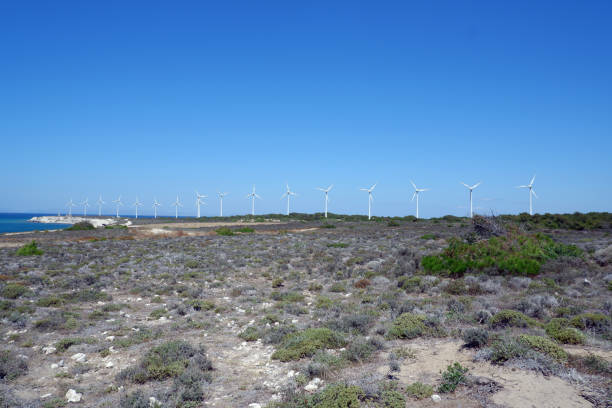 istock Wind turbines of Bozcaada / Tenedos under a cloudless blue sky. 1170579399