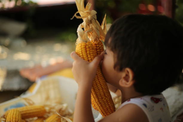 istock Little boy biting fresh corn on the cob 1170580567