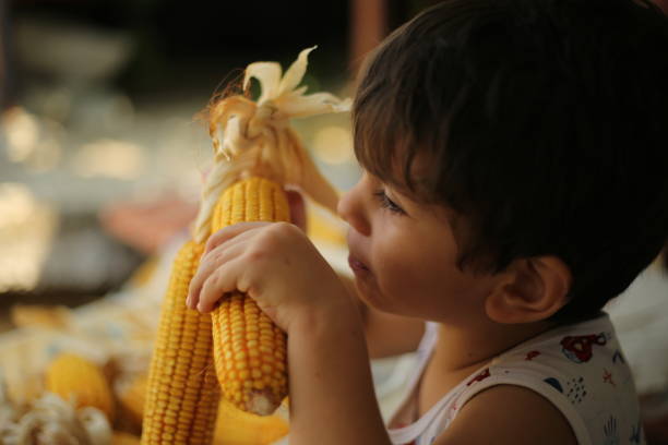istock Little boy biting fresh corn on the cob 1170580619