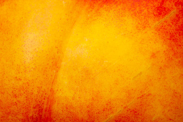 закройте кожу нектарина крупным планом. свежие органические персики. фруктовые персики фон. - nectarine peaches peach abstract стоковые фото и изображения
