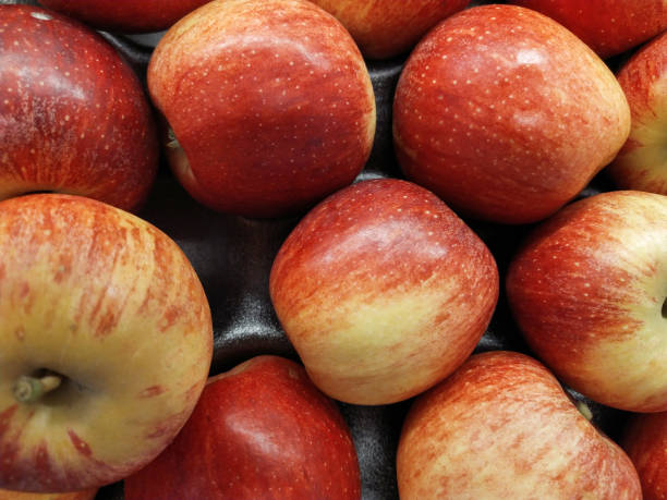 istock Group of red apples with their leaves 1170581207