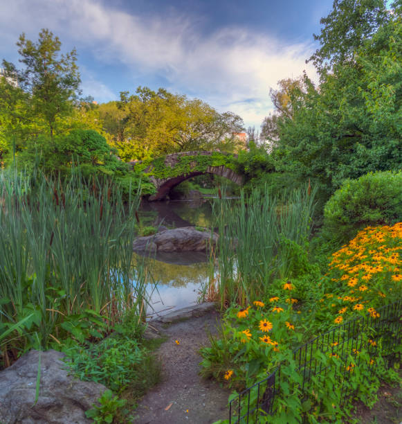 istock Gapstow Bridge in Central Park 1170581580