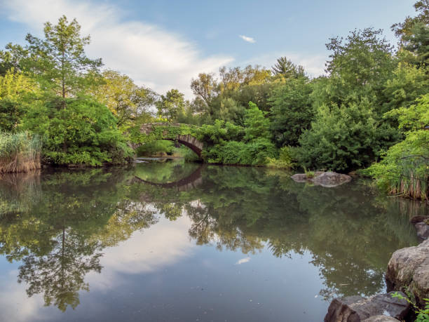 istock Gapstow Bridge in Central Park 1170581723