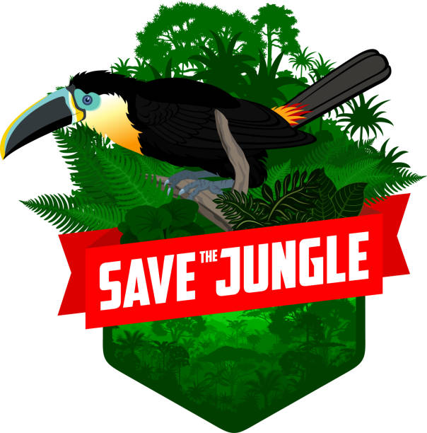 vector jungle rainforest emblem with channel-billed toucan vector jungle rainforest emblem with channel-billed toucan rainbow toucan stock illustrations