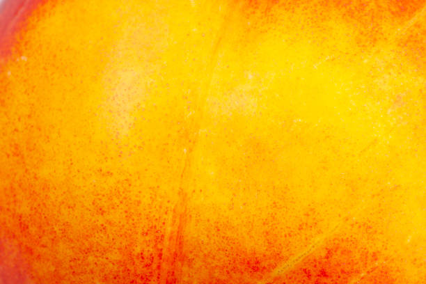 istock Close up nectarine skin. Fresh organic peaches. Fruit peaches background. 1170582622
