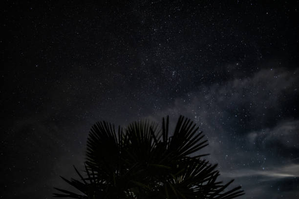 istock Stars on a summer night 1170583825