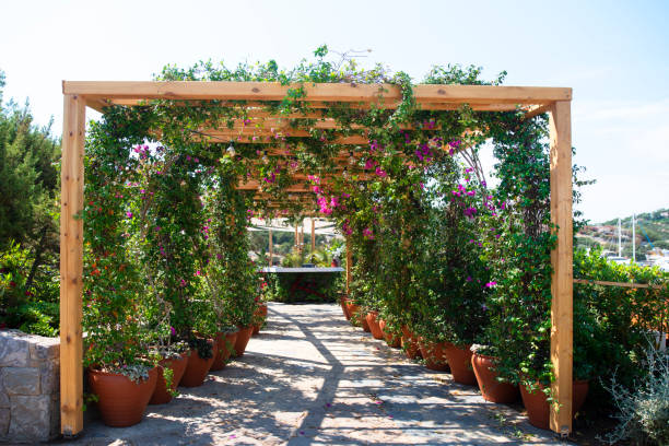  Garden Trellis (Gazebo) with lush greenery around.