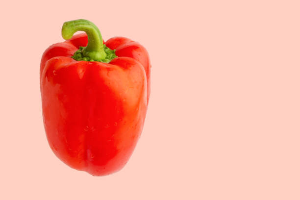 istock red bell pepper or paprika isolated on a pink background, for design 1170585796