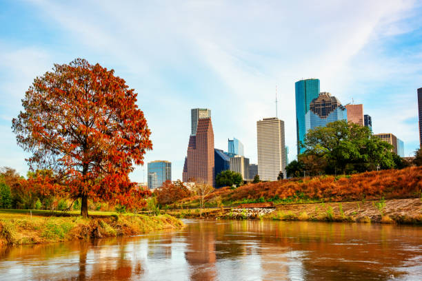 istock Houston Skyline in Winter 1170587168