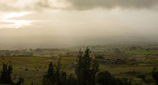 istock Farmland on Maui, Hawaii 1170591173