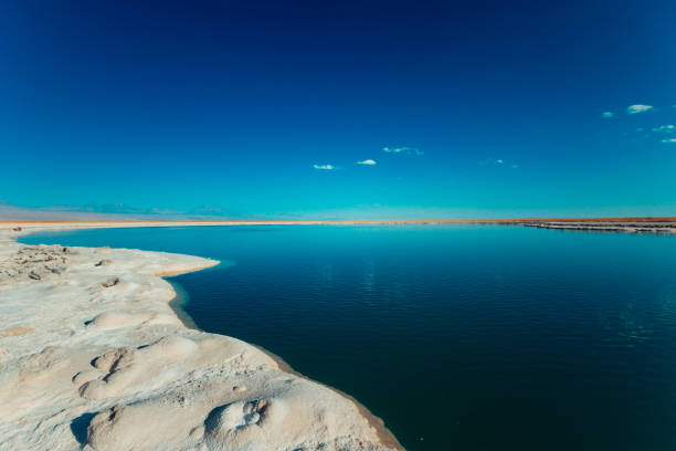 istock Blue lake in the middle of the Atacama Salt Desert 1170594607