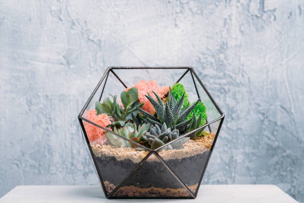 istock diy florarium gift delivery colorful plants vase 1170598493