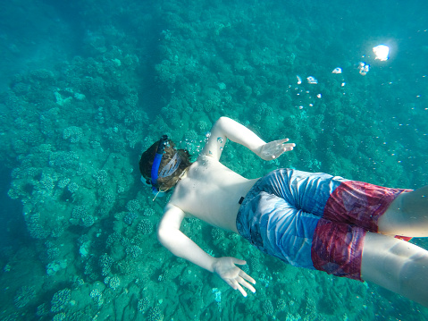 Child dives underwater with fish in the blue waters of Hawaii