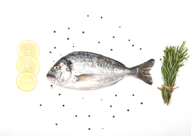 istock Fresh Dorado Fish on white background with ingredients for cooking 1170598949