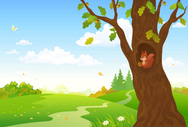 мультфильм осенний лес - tree oak tree acorn forest stock illustrations