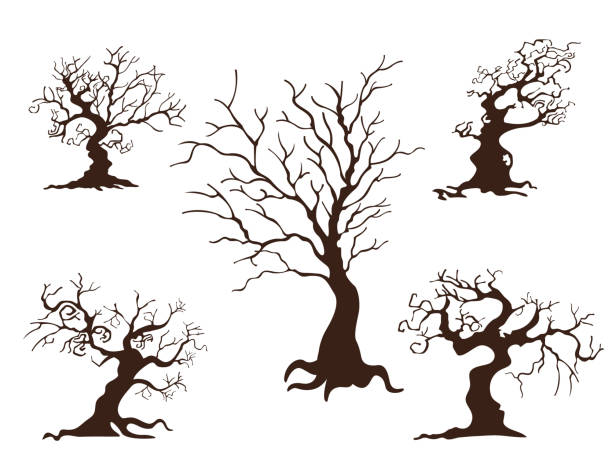 ilustrações de stock, clip art, desenhos animados e ícones de collection of trees. concept cartoon tree in different. halloween elements set. vector clipart illustration isolated on white background - spooky cemetery single flower flower