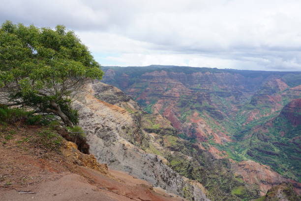 istock Waimea Canyon in Kauai 1170607166