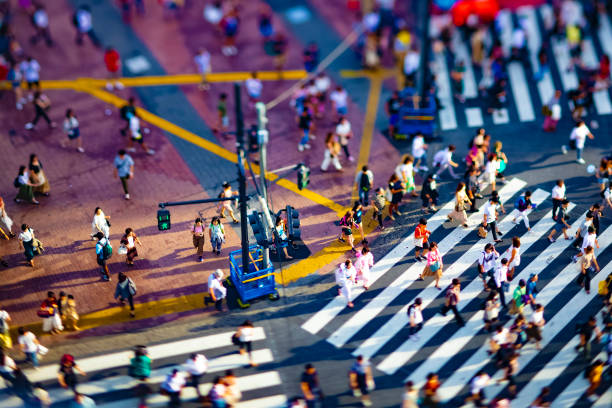 shibuya-kreuzung in tokio hochwinkel neigungshift - crosswalk crowd activity long exposure stock-fotos und bilder