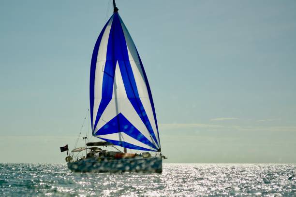 iates no porto denarau marina, pronto para explorar as ilhas tropicais da divisão ocidental de fiji. - denarau - fotografias e filmes do acervo