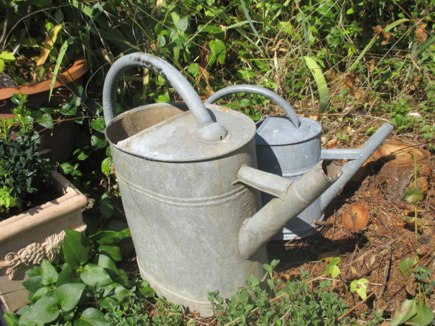 istock Watering can Garden of the house 1170616546