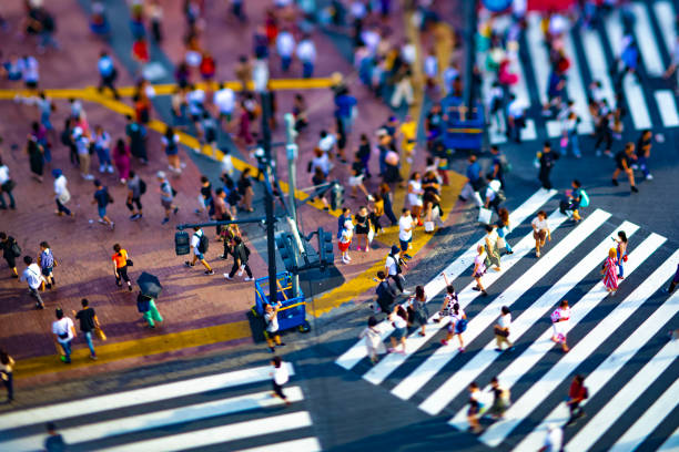 東京の高角チルトシフトの渋谷交差点 - crosswalk crowd activity long exposure ストックフォトと画像