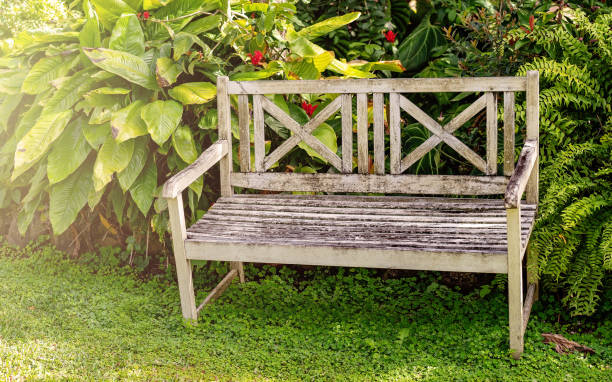 istock Old Wooden Garden Chair 1170629037