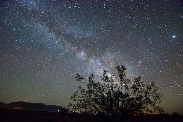 istock Night of Trilobite Wilderness, Amboy 1170629879