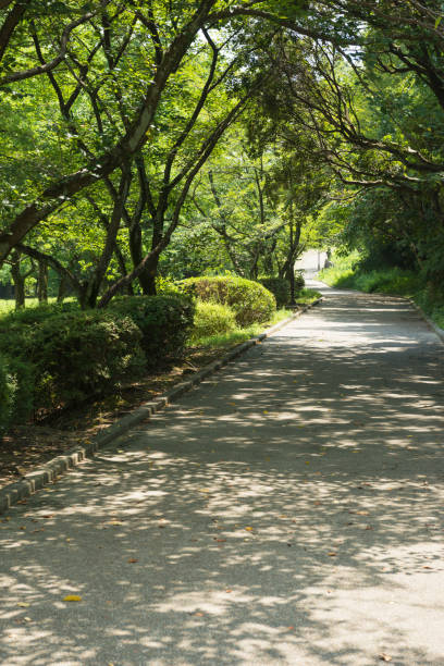 istock A sunny day park in Osaka 1170631970