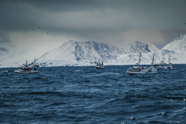Fishing boat sailing out at rough sea