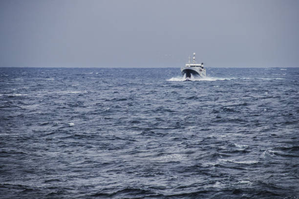 Fishing boat sailing out at rough sea