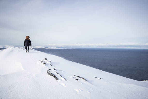 Exploring the arctic: hiking on the ice