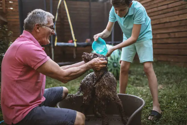 Photo of Bathing a dog with my grandpa