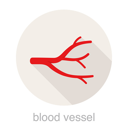 istock human blood vessel flat icon, vector illustration 1170634985