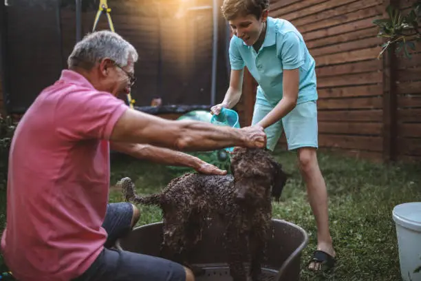 Photo of Bathing a dog with my grandpa