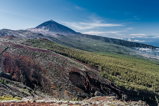 Green slopes at the foot of Teide volcano