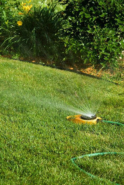 istock Watering the garden 117064074