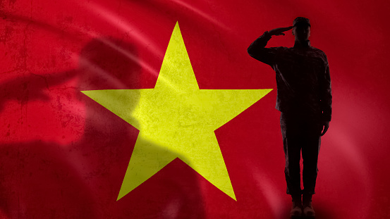 Vietnamese soldier silhouette saluting against national flag, responsibility