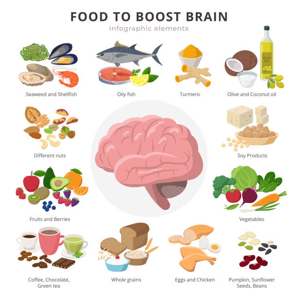 ilustrações, clipart, desenhos animados e ícones de alimento saudável para elementos do infográfico dos cérebros no projeto liso detalhado isolado no fundo branco. coleção grande de ícones dos alimentos em torno da ilustração do cérebro, tema infográfico médico - fruta com grão