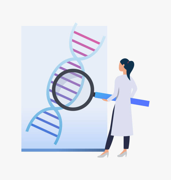 illustrations, cliparts, dessins animés et icônes de scientifique examinant l'adn - medical research medicine laboratory computer graphic