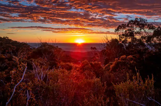 Photo of Glorious sunrise with views across wilderness mountain bushland