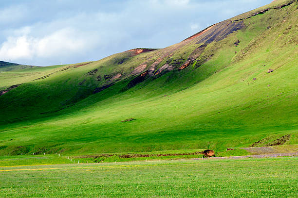 Green hill in Iceland stock photo