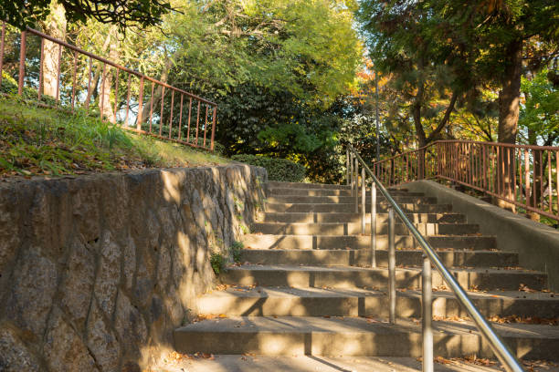 istock Saishoyama Park in Osaka 1170652331