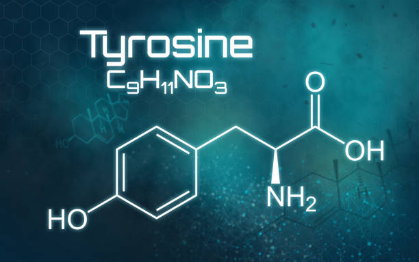 Chemical formula of Thyrosine on a futuristic background Chemical formula of Thyrosine on a futuristic background tyrosine photos stock pictures, royalty-free photos & images