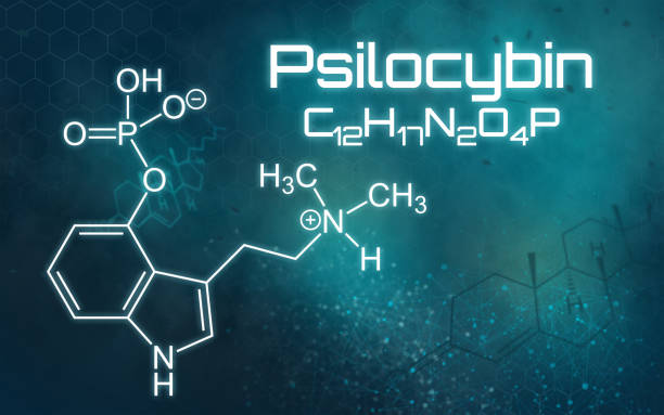 formule chimique de la psilocybine sur un fond futuriste - magic mushroom psychedelic mushroom fungus photos et images de collection