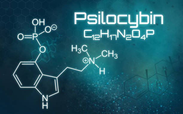 Chemical formula of Psilocybin on a futuristic background Chemical formula of Psilocybin on a futuristic background hallucinogen stock pictures, royalty-free photos & images